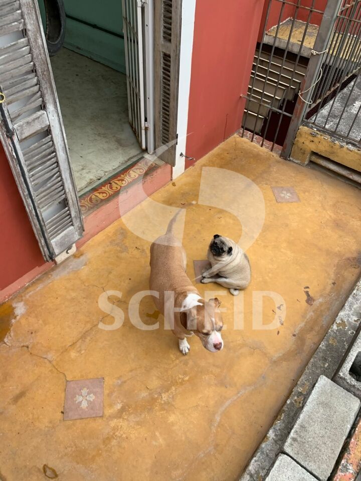 Foto 30