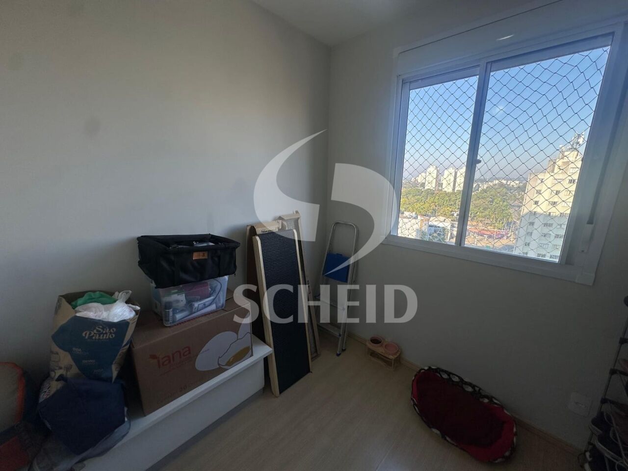 Foto 20