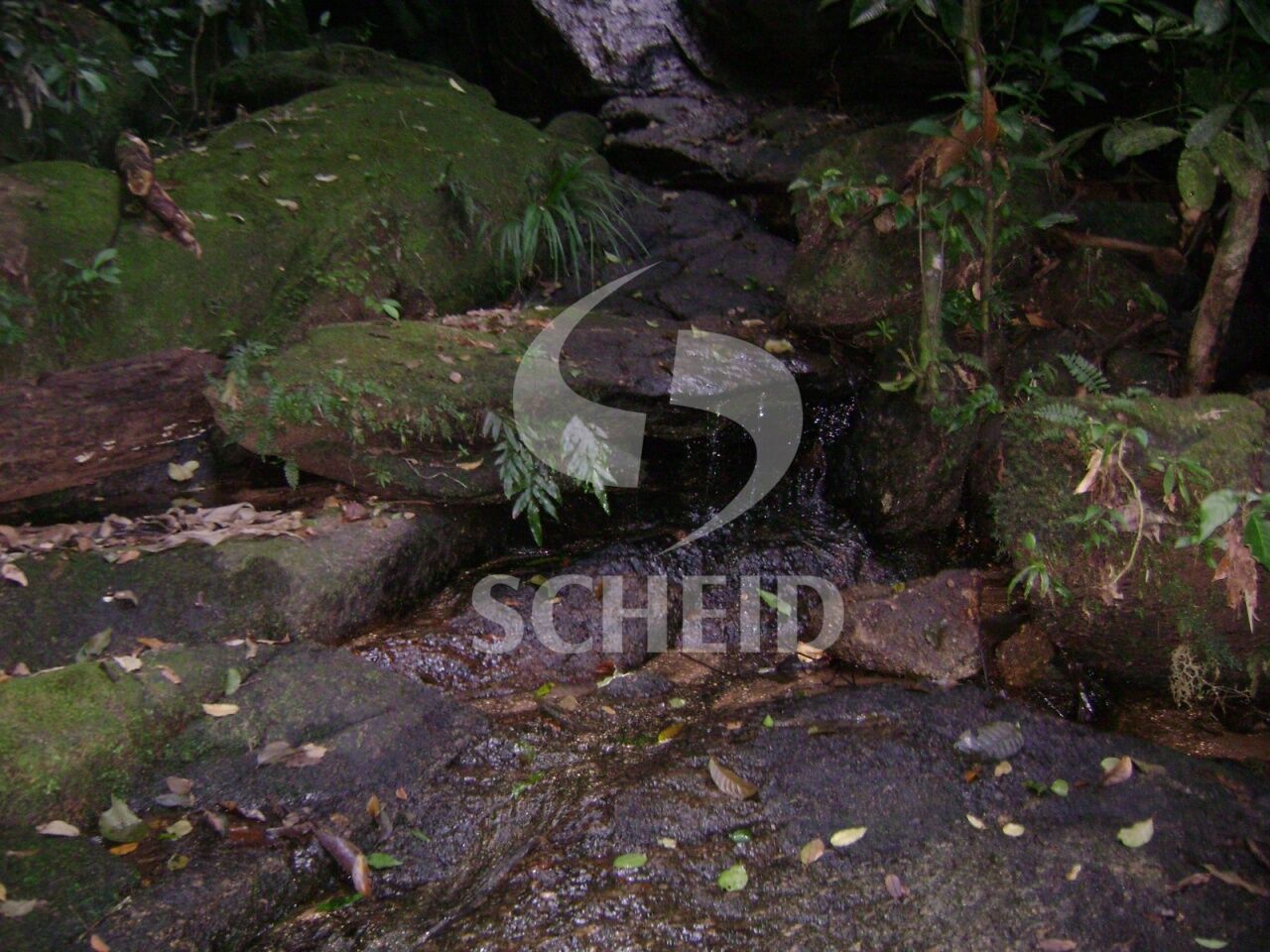 Foto 22