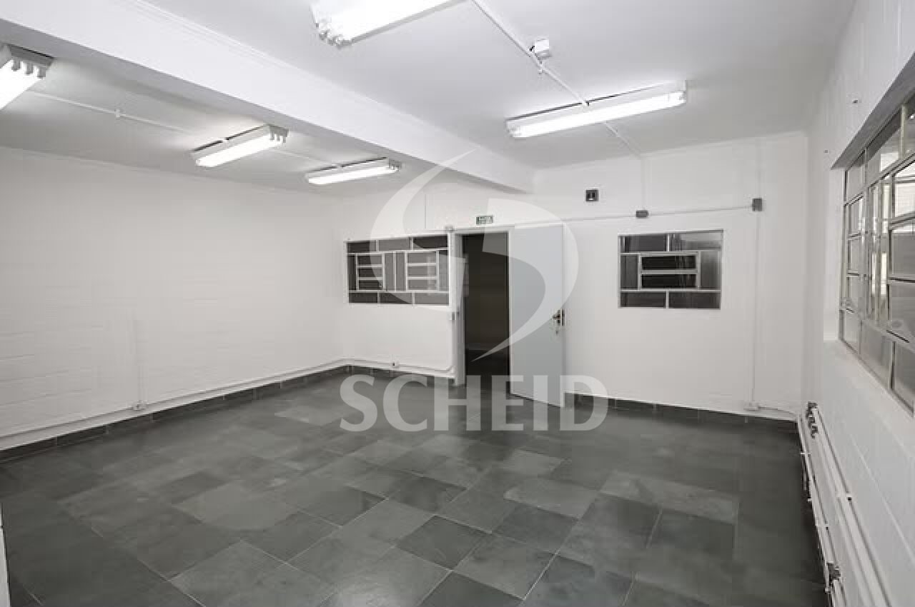 Foto 20