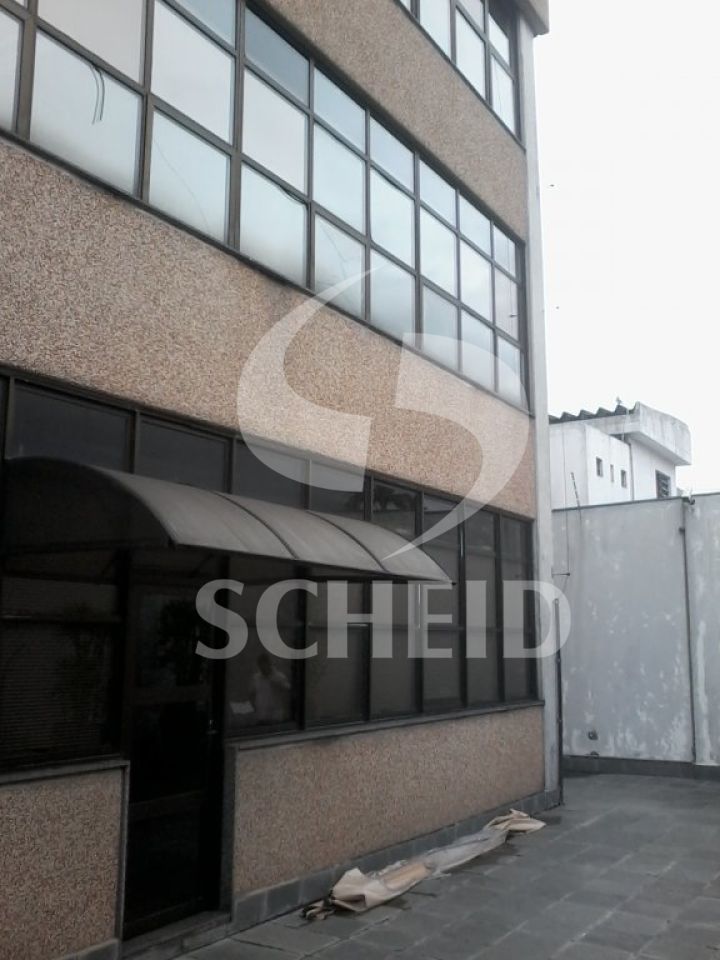 Foto 20