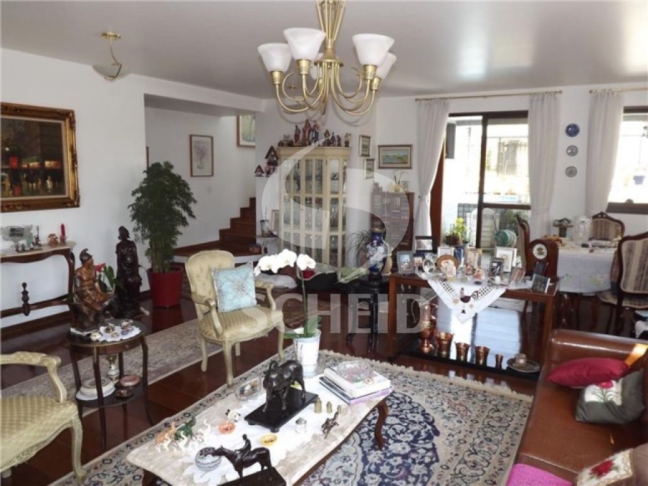 Foto 1