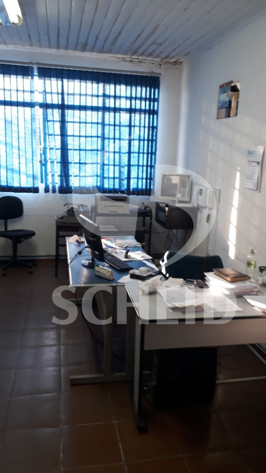 Foto 7