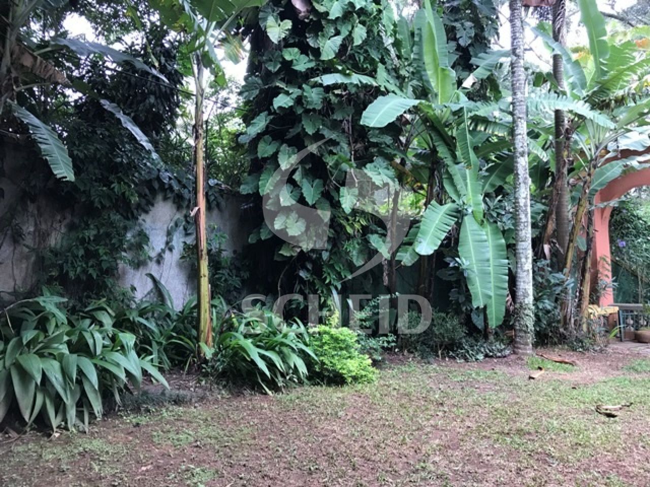 Foto 17