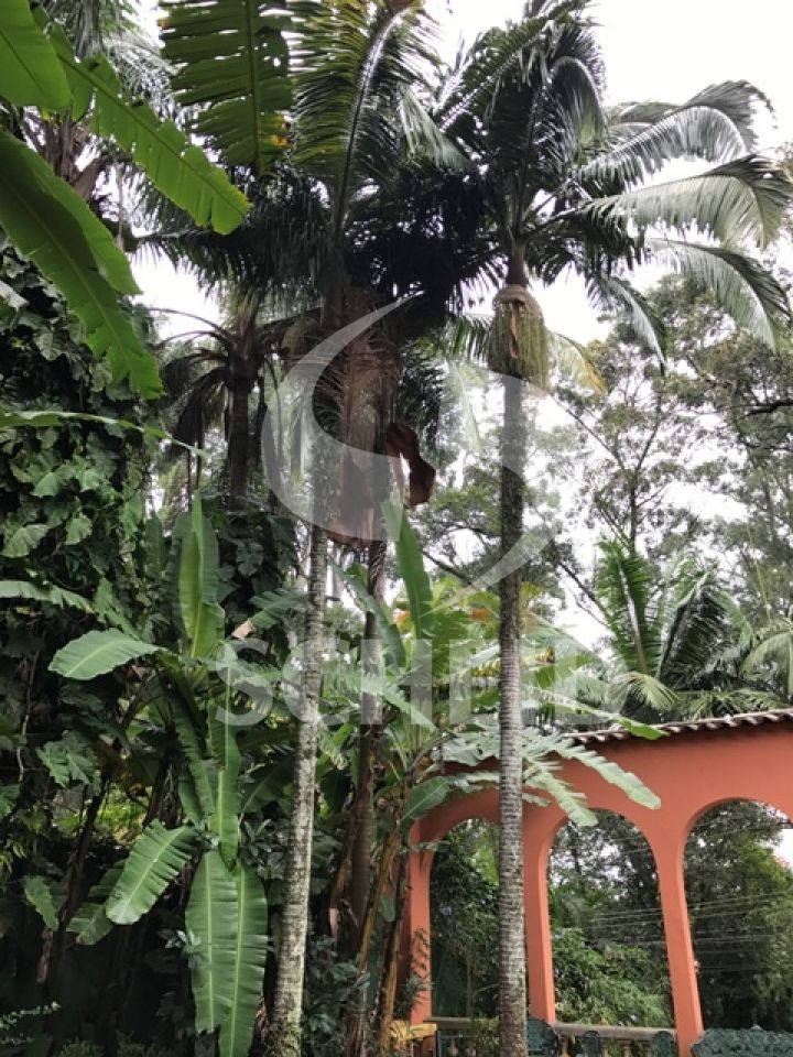 Foto 18