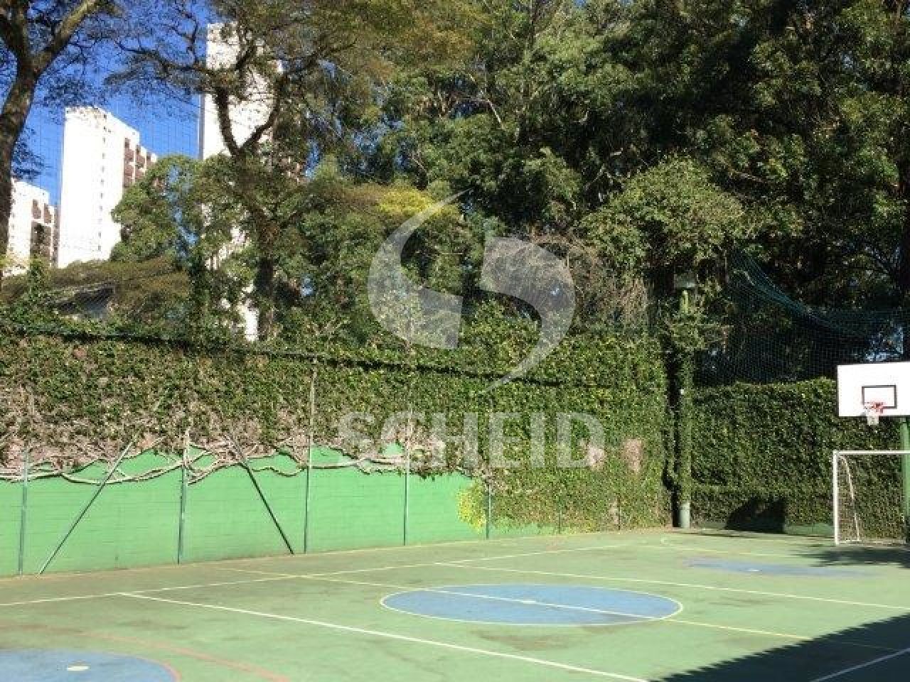 Foto 12