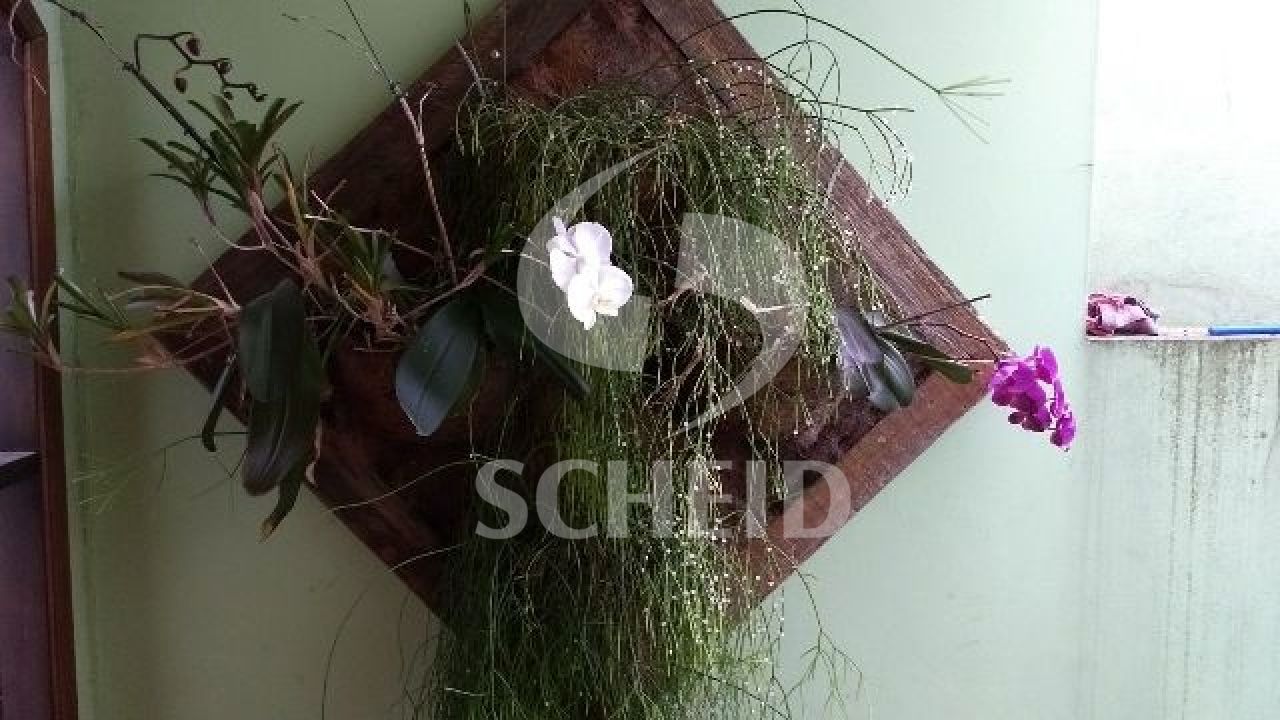 Foto 26