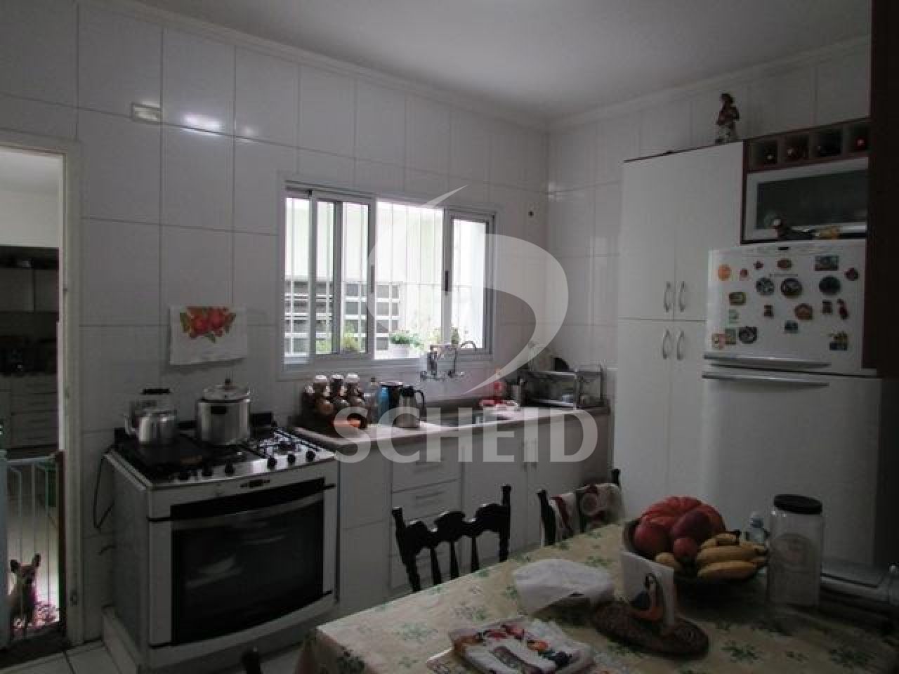 Foto 6