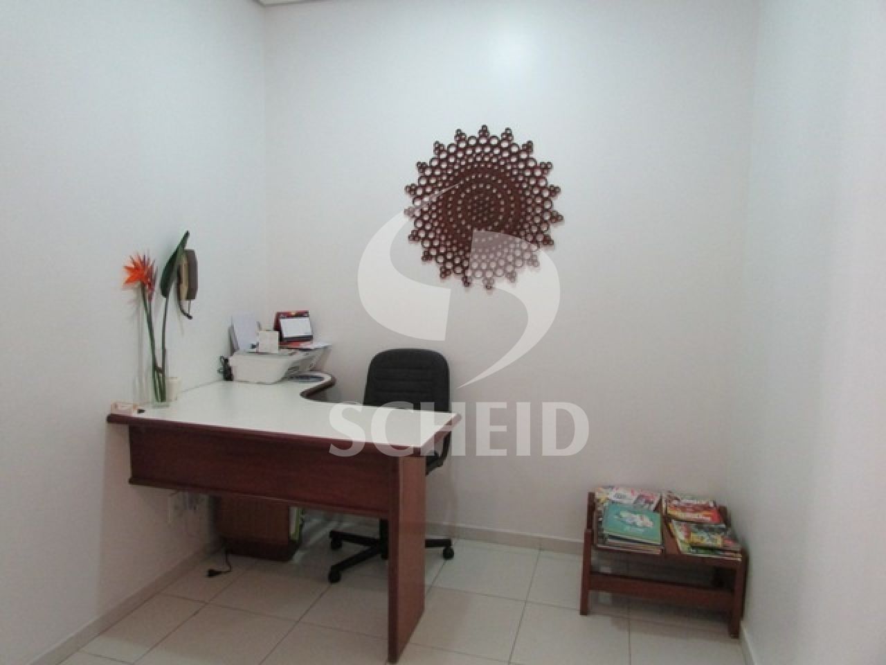 Foto 7