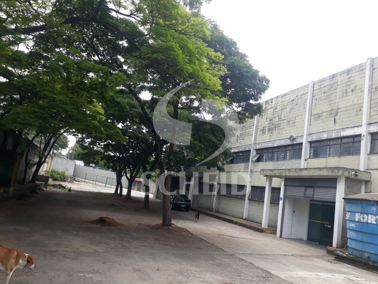 Foto 1