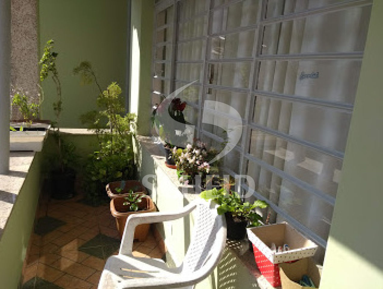 Foto 19