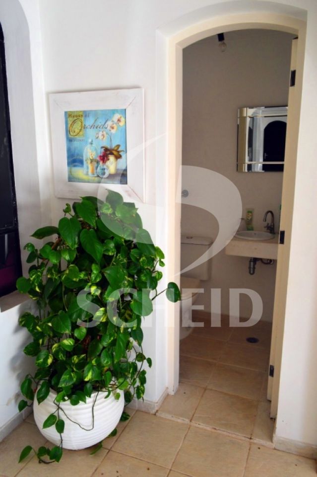 Foto 19