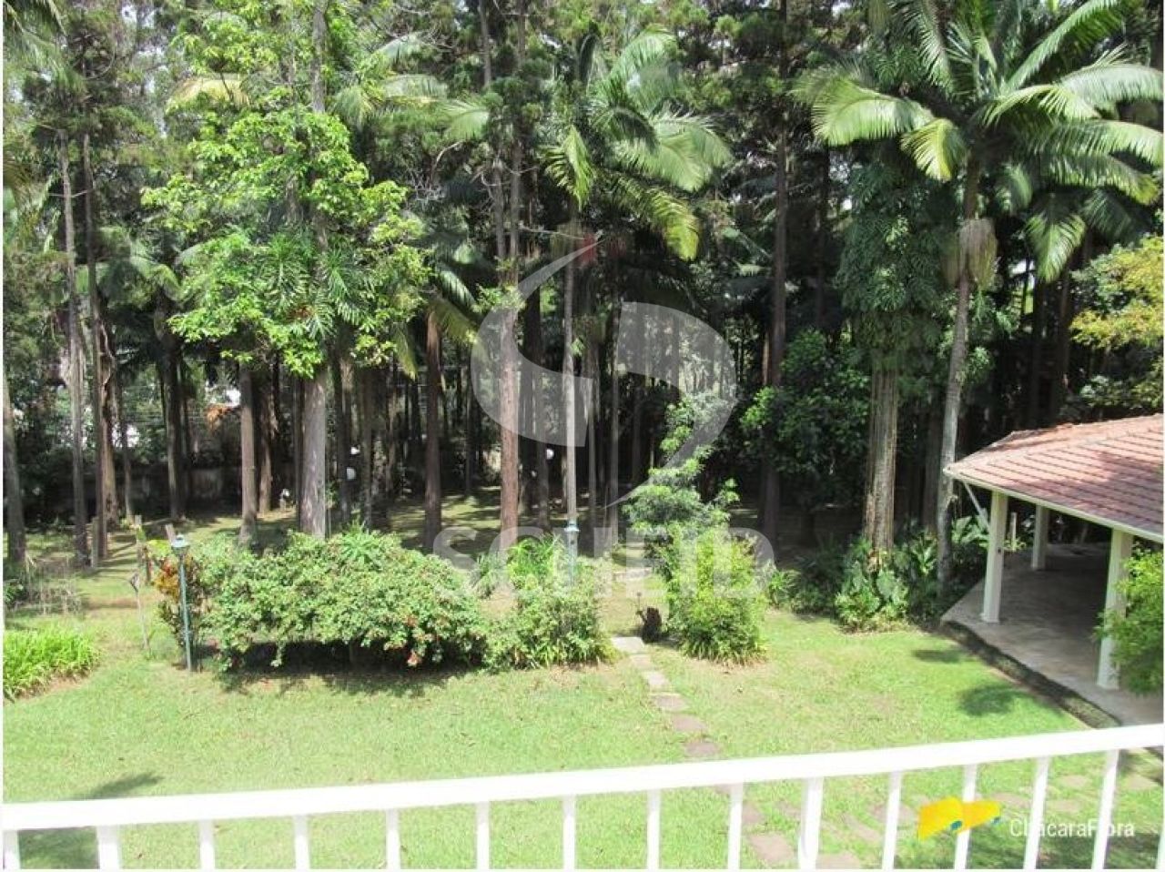 Foto 11