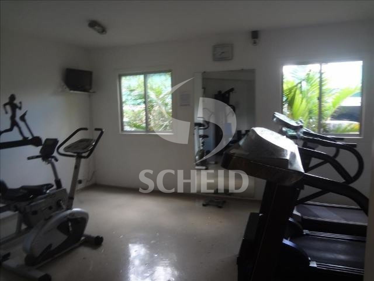 Foto 15