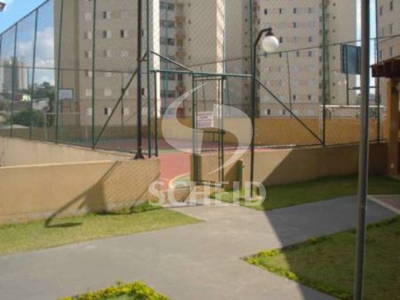 Foto 20