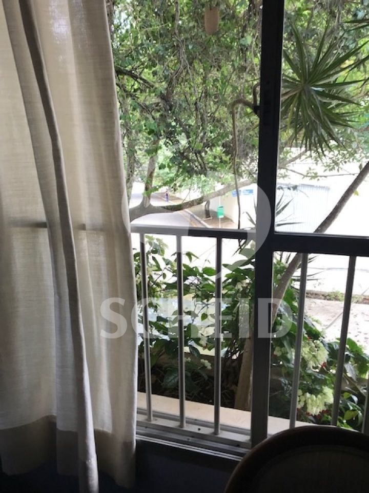 Foto 19