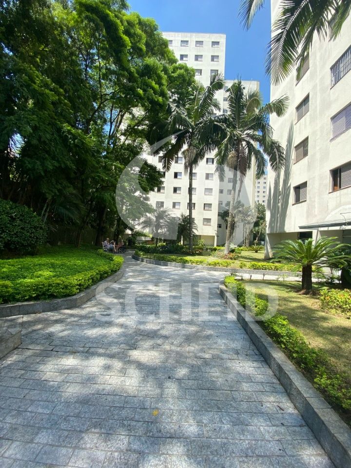 Foto 19