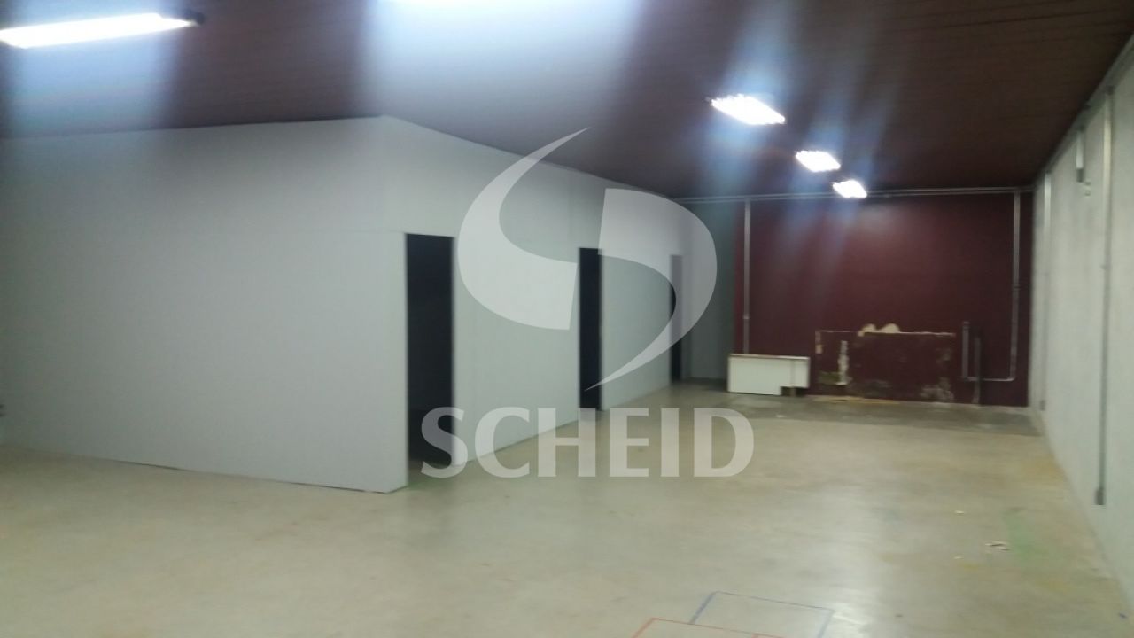 Foto 12