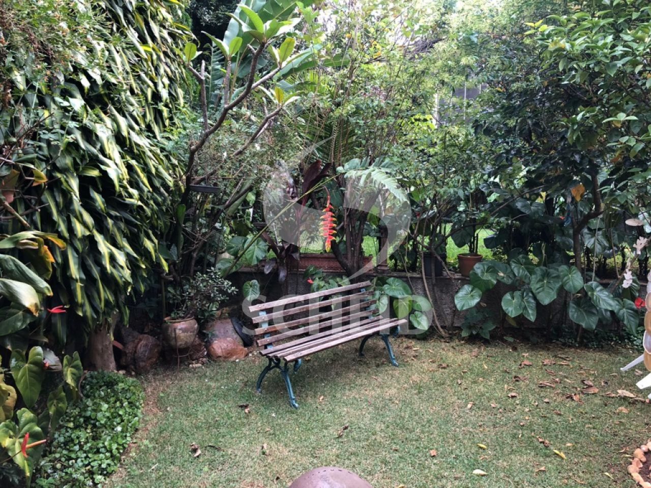 Foto 21