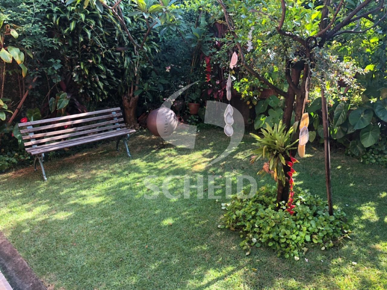 Foto 11