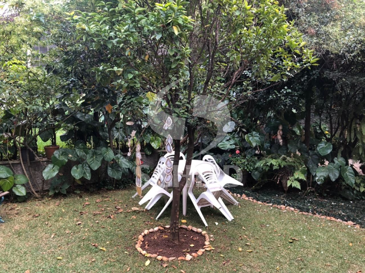 Foto 6