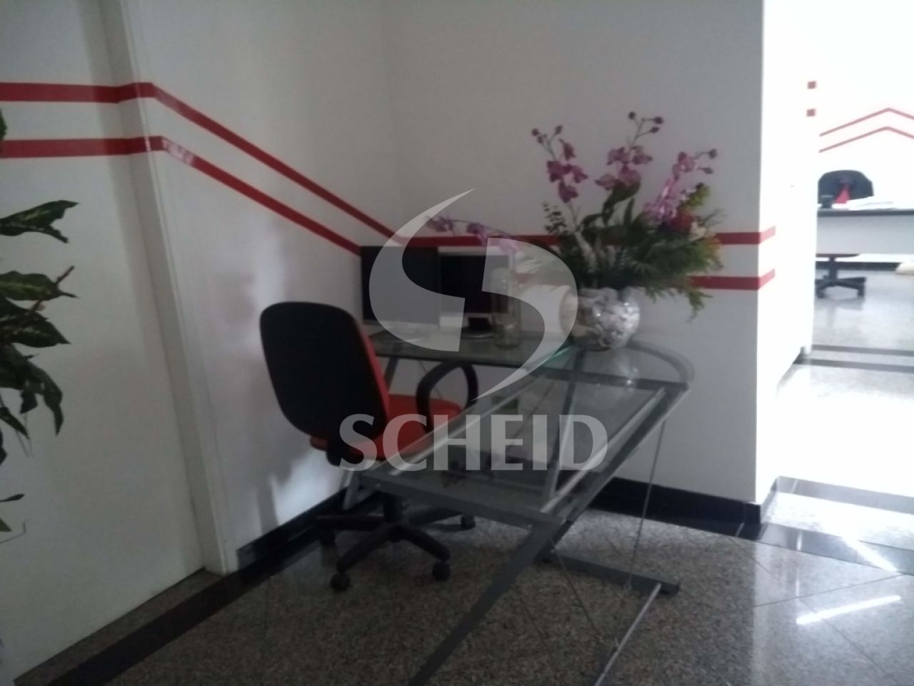 Foto 7