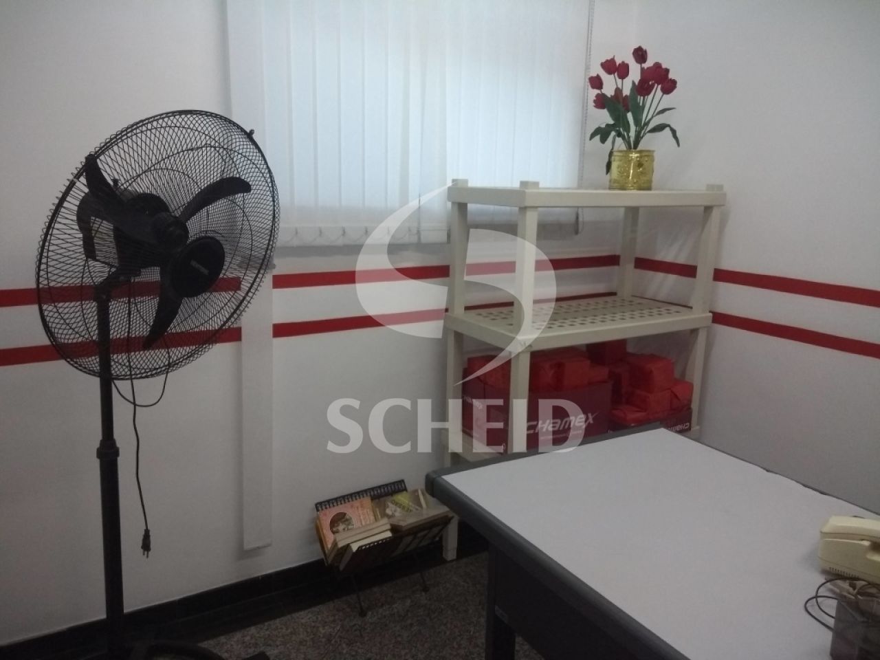 Foto 15