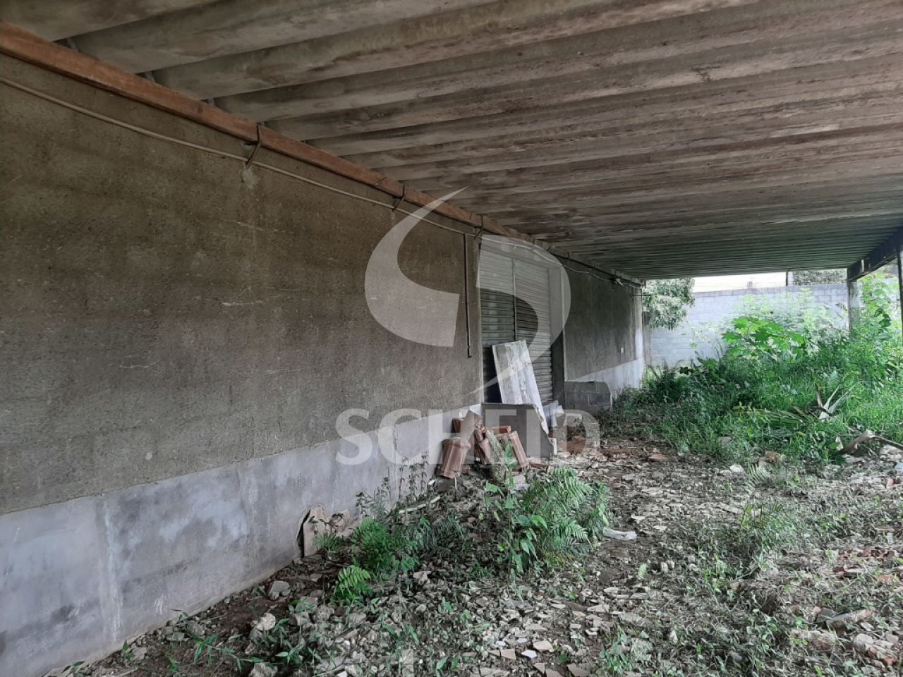 Foto 11