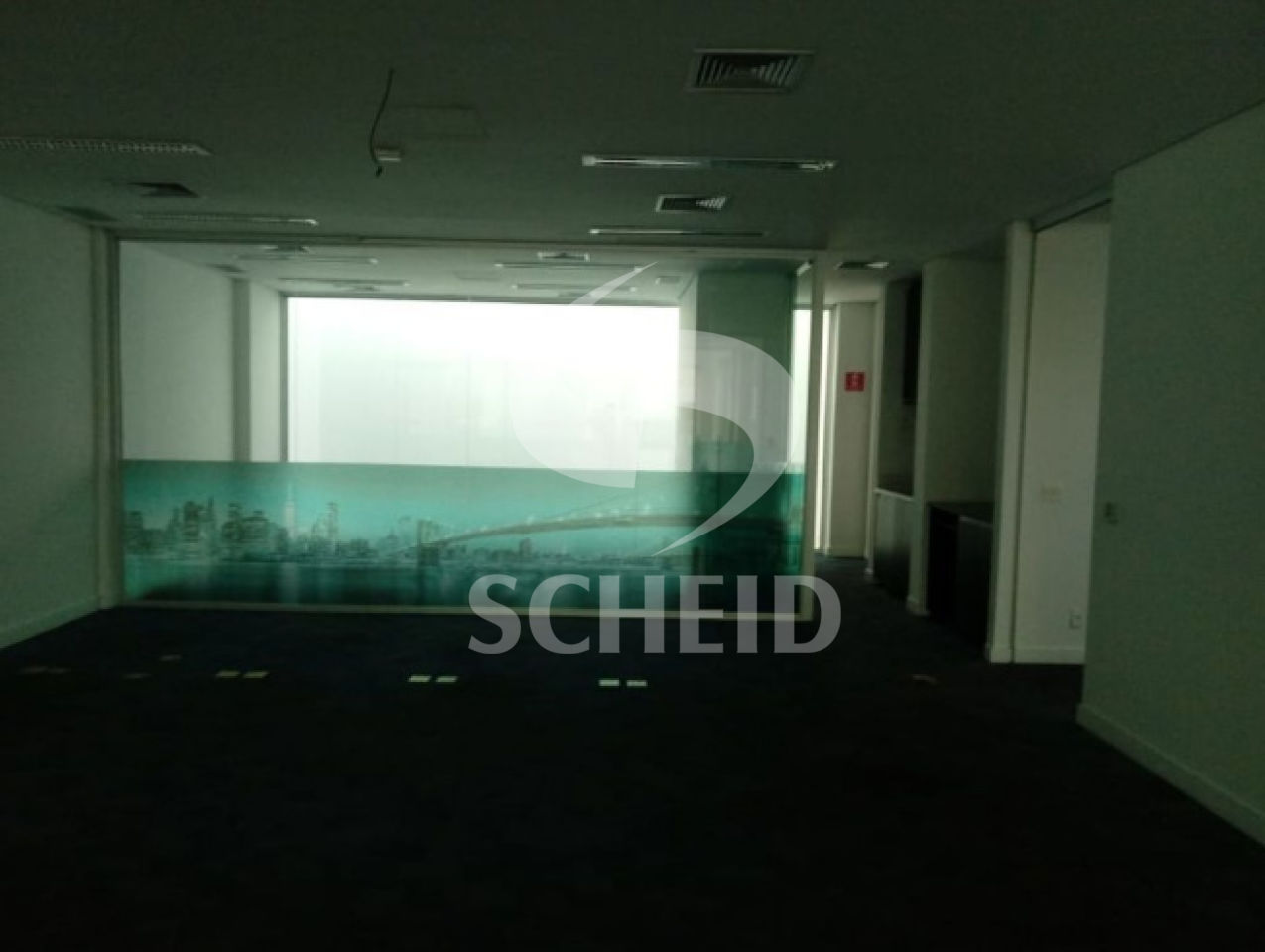 Foto 11