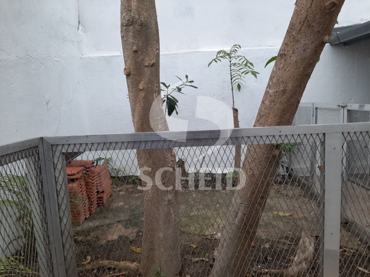 Foto 21