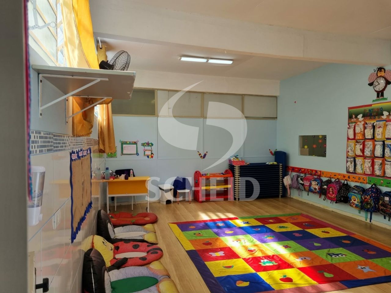 Foto 5