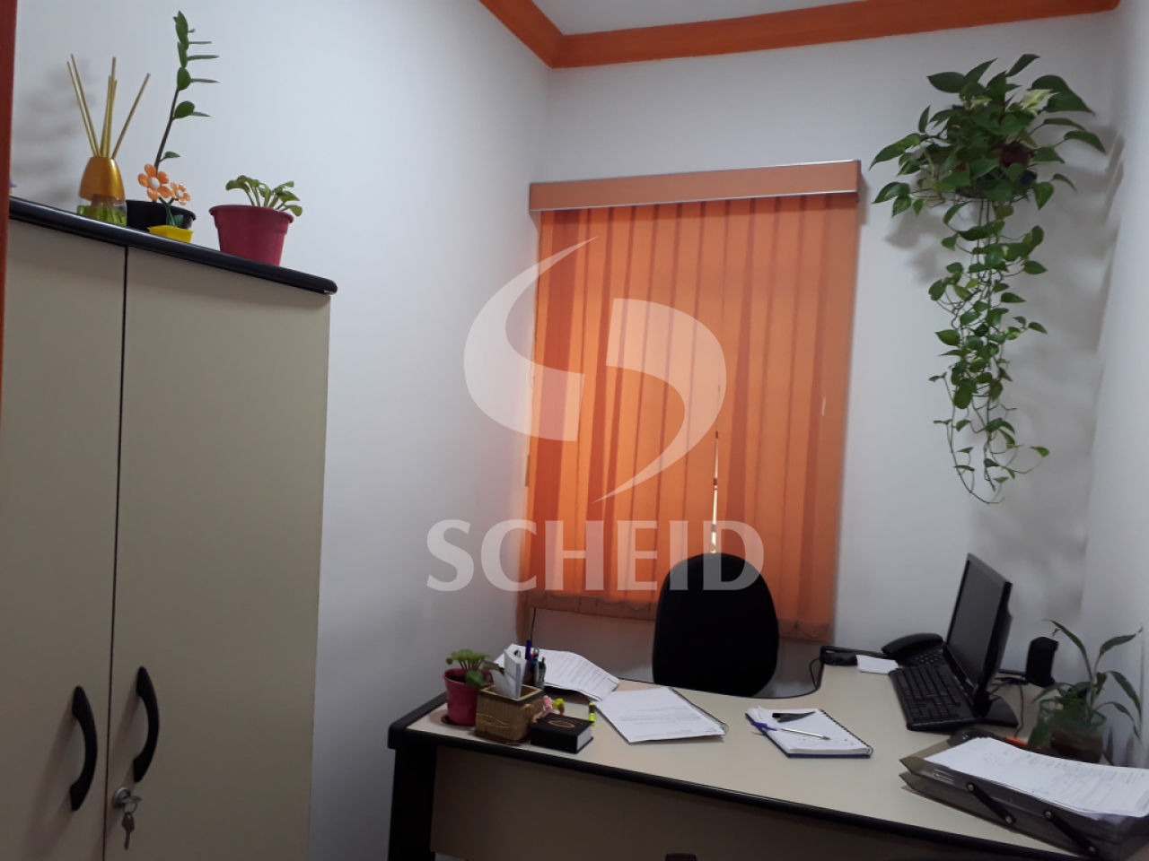 Foto 13