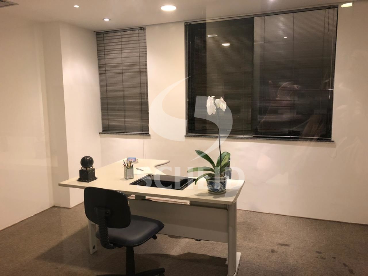 Foto 11