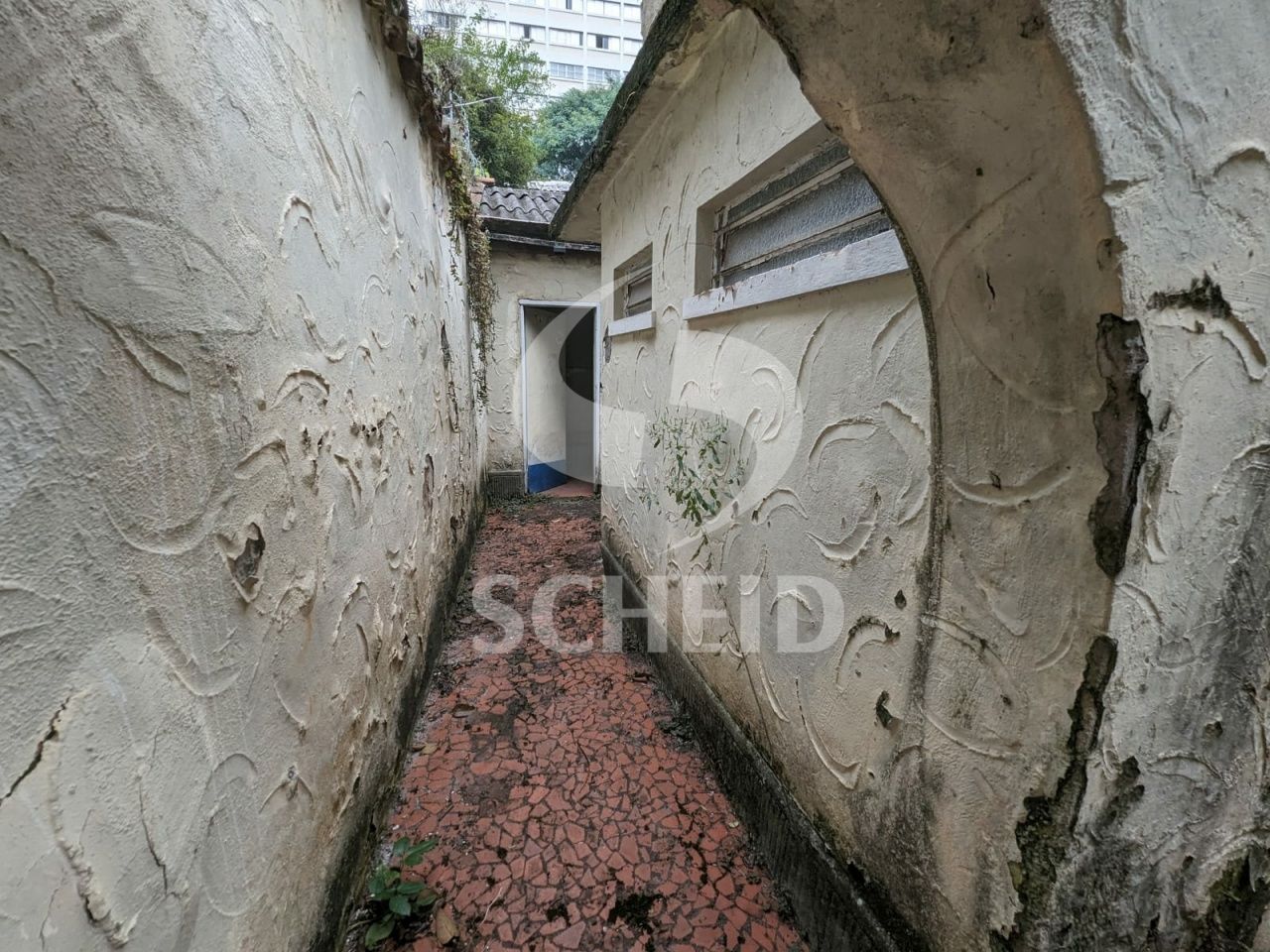 Foto 19