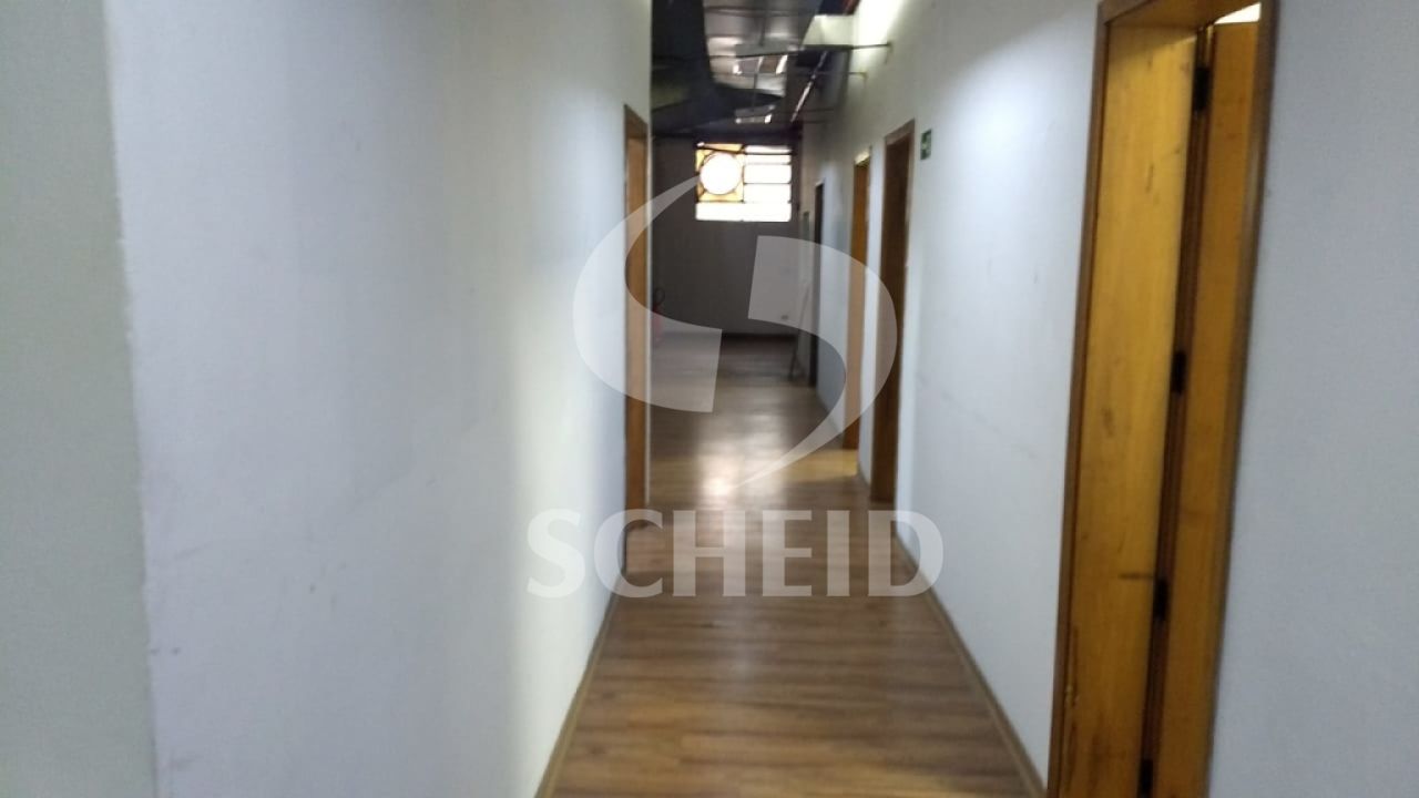 Foto 19