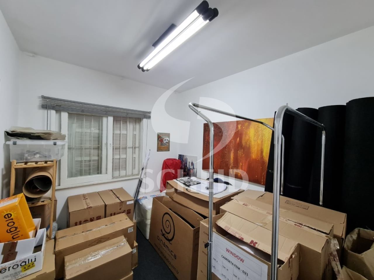 Foto 15