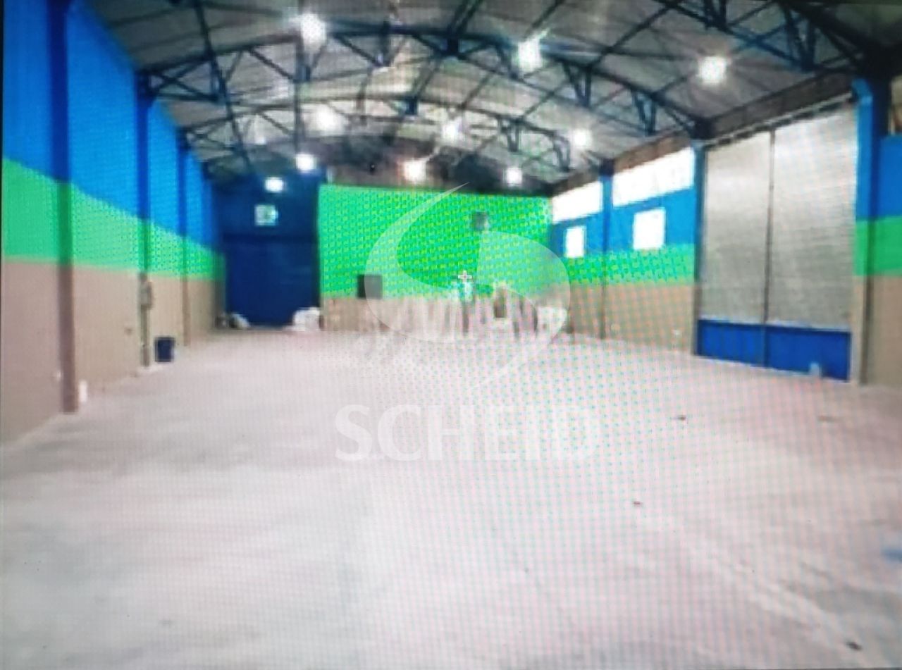 Foto 5