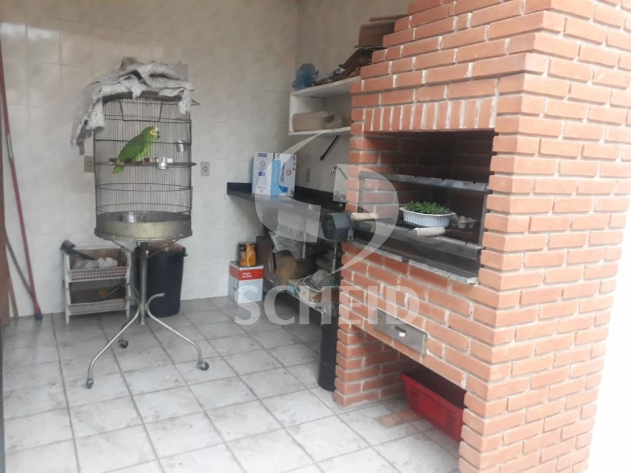 Foto 11