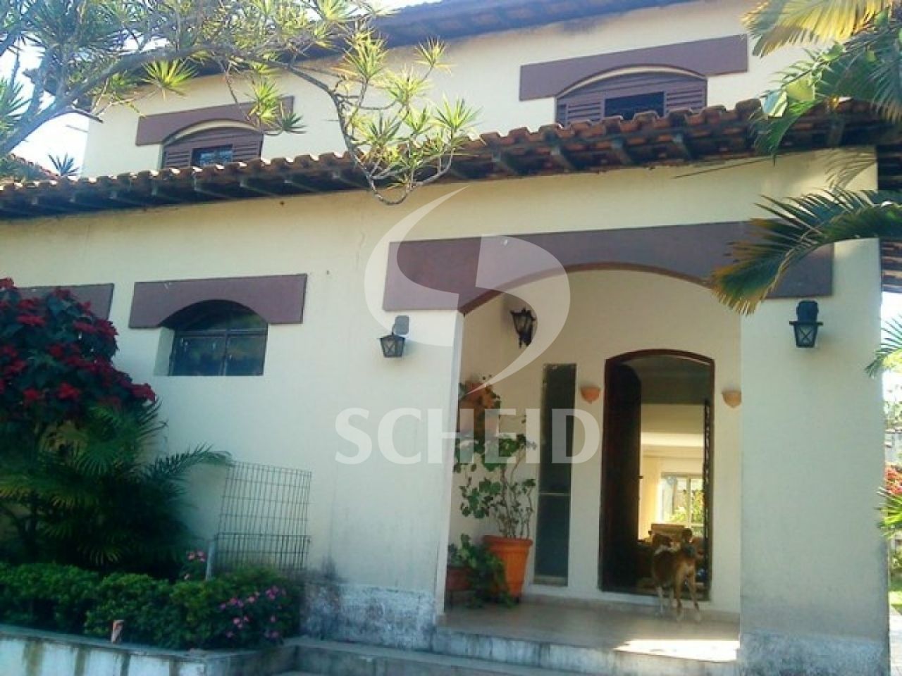 Foto 2