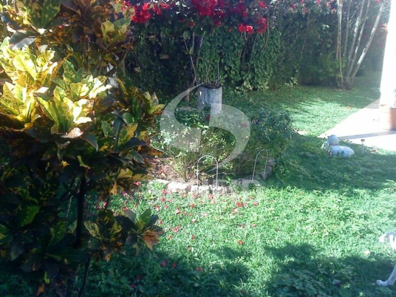 Foto 9