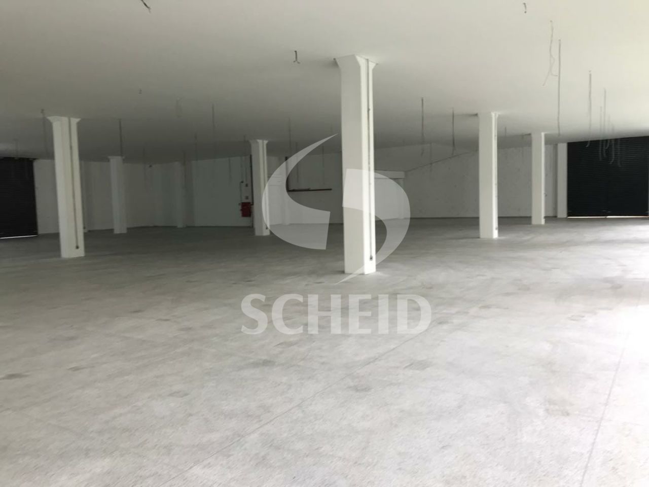 Foto 7