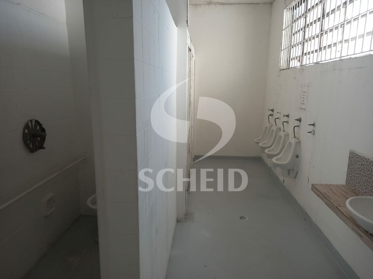 Foto 15