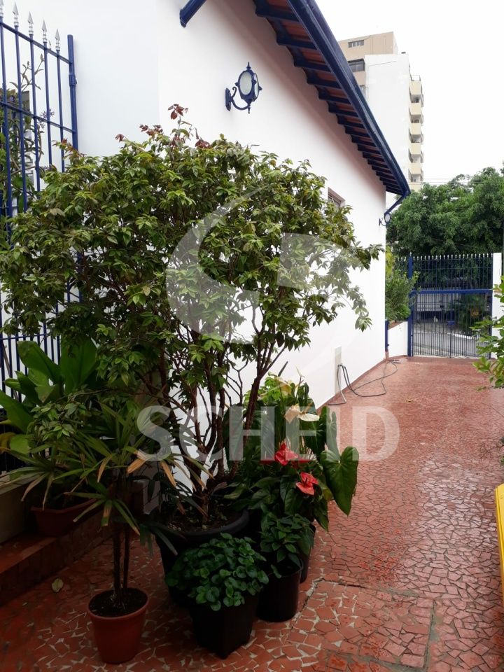 Foto 13