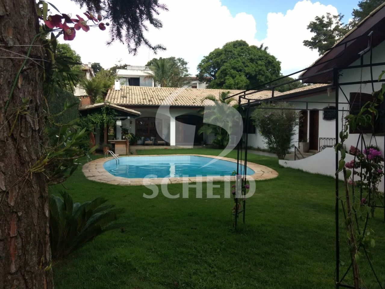 Foto 8