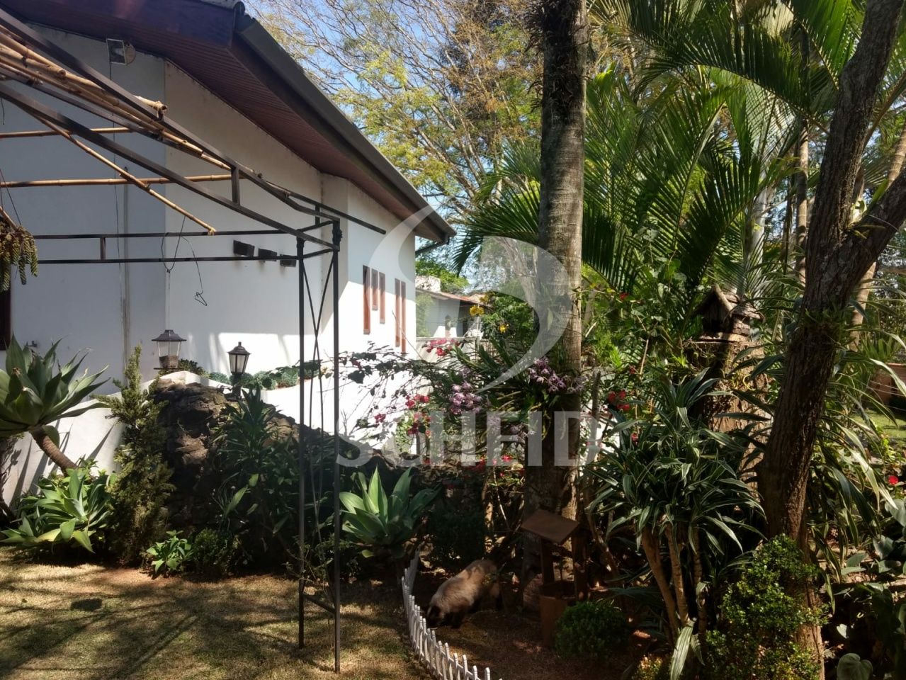 Foto 10