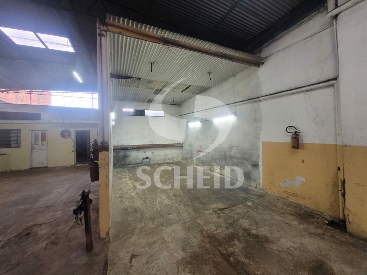 Foto 7