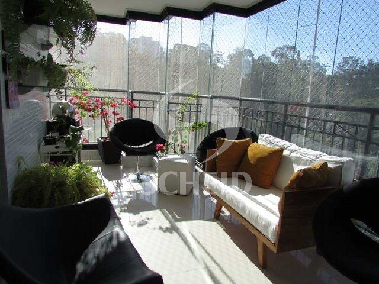Foto 11