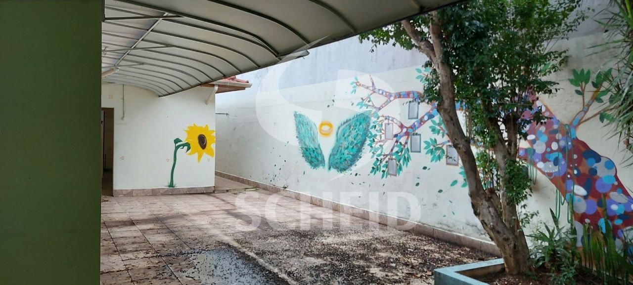 Foto 43