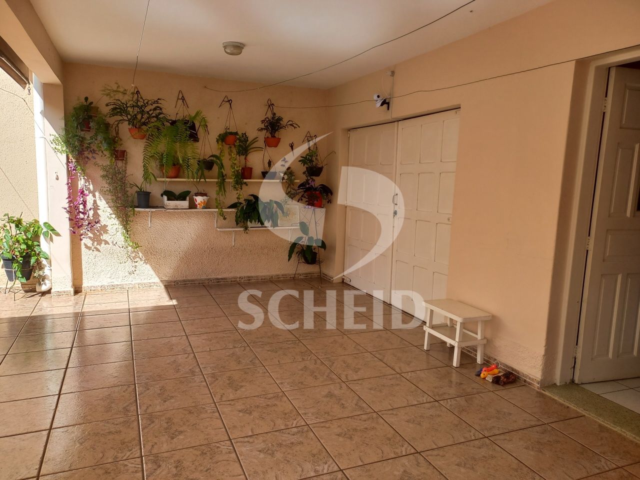 Foto 24