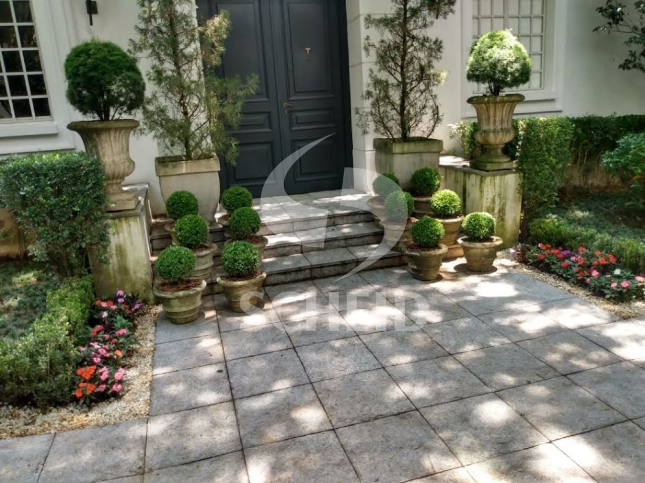 Foto 20